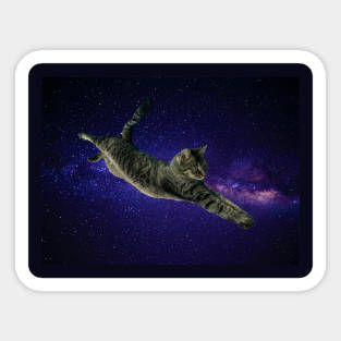 Space Cat Sticker